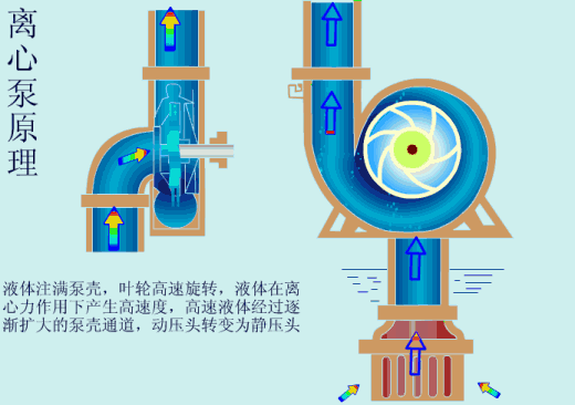 给（gei）水泵、给（ji）水泵别再傻傻分不清楚（内含动画）-