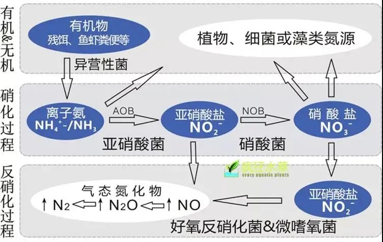 面对低浓度氨氮工业废水束手无策？这几种方法可以解决-