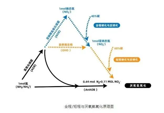 面对低浓度氨氮工业废水束手无策？这几种方法可以解决-