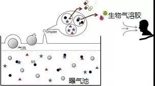 污水厂内的生物气溶胶怎么产生，污水从业人员如何做好防护？-
