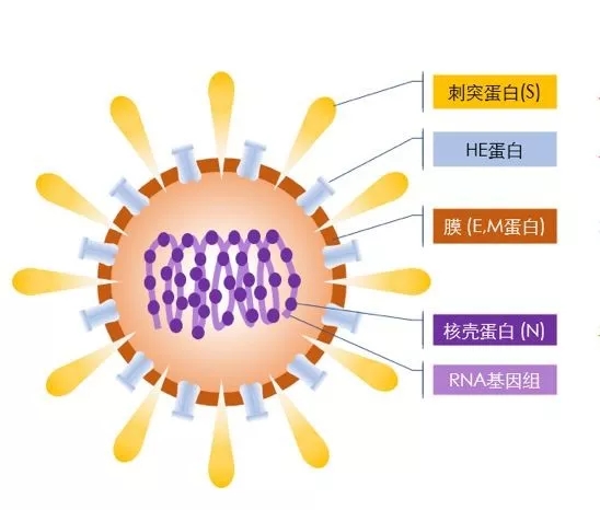 疫情来势汹汹，如何做好个人防护？这些问题要明白！-