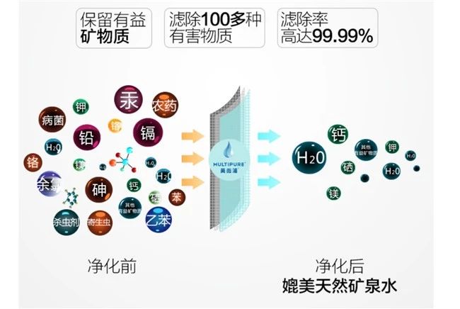 中国市场世界机遇，这些流体机械领域的展商也去进博会啦！-