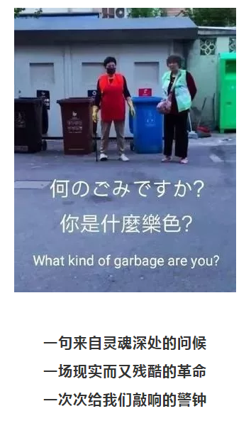你被“垃圾分类”洗脑了吗？揭秘强制分类背后的惊天秘密！-
